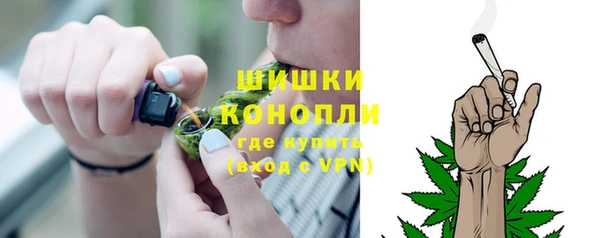 прущие крисы Надым