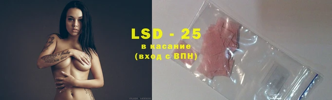 гидра Михайловск