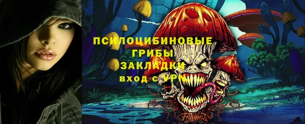 прущие крисы Надым
