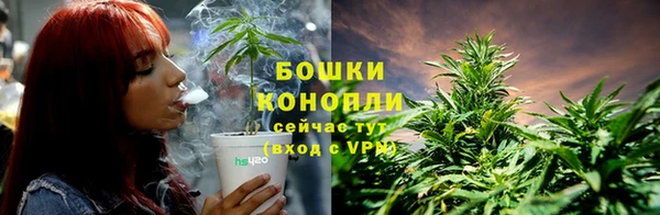 прущие крисы Надым