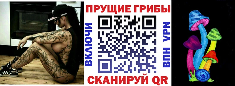 где можно купить   Таштагол  блэк спрут ONION  Псилоцибиновые грибы GOLDEN TEACHER 